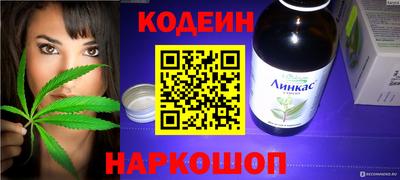 стафф Кингисепп