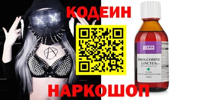 стафф Кингисепп