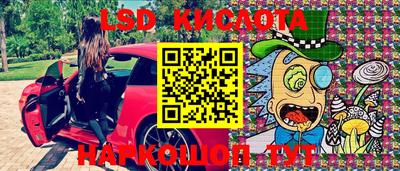 стафф Кингисепп