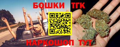 стафф Кингисепп