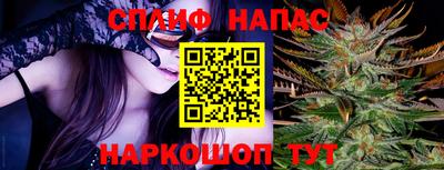 стафф Кингисепп