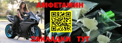 стафф Кингисепп