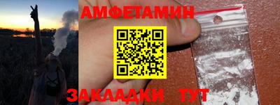 стафф Кингисепп
