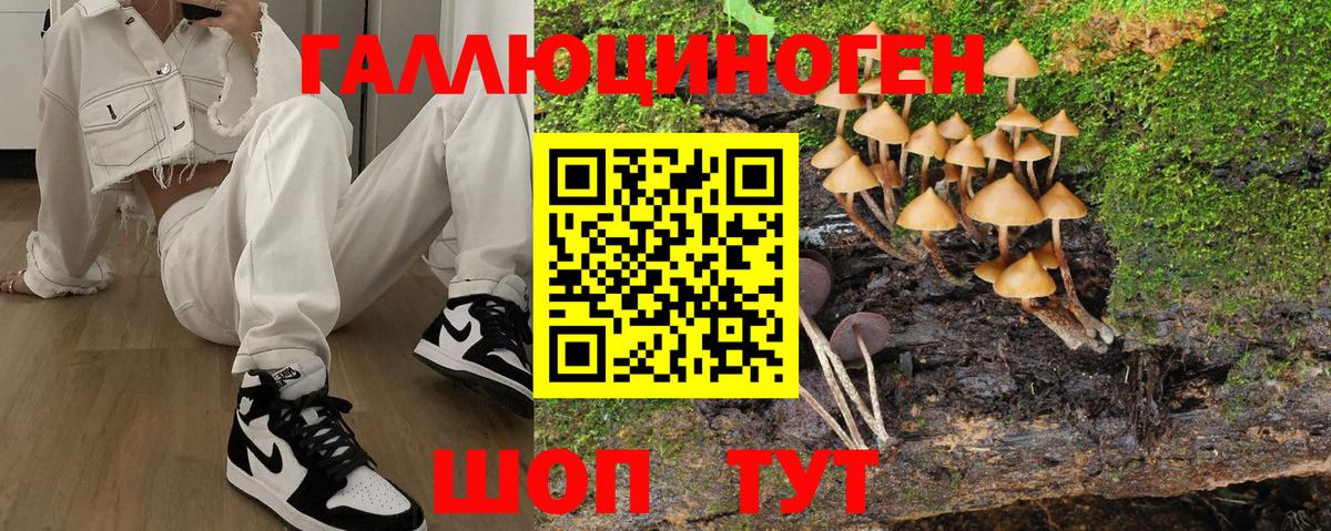 Коряжма  Псилоцибиновые грибы мицелий  где найти наркотики  Вход с VPN  Галлюциногенные грибы прущие грибы 